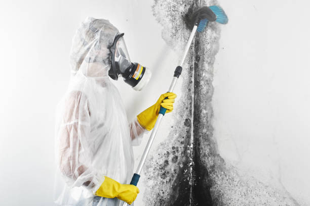 Best Air Quality Testing for Mold Spores  in Bethlehem, WV