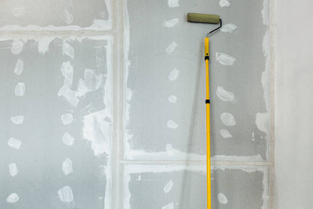 Best Post-Construction Mold Inspection  in Bethlehem, WV