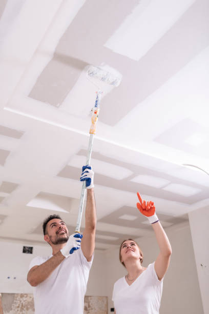 Best Mold Odor Removal Services  in Bethlehem, WV