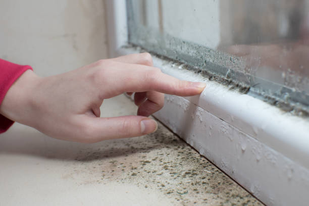 Best Comprehensive Air Testing for Mold Contaminants  in Bethlehem, WV