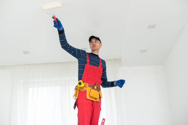 Best Real Estate Mold Inspection  in Bethlehem, WV