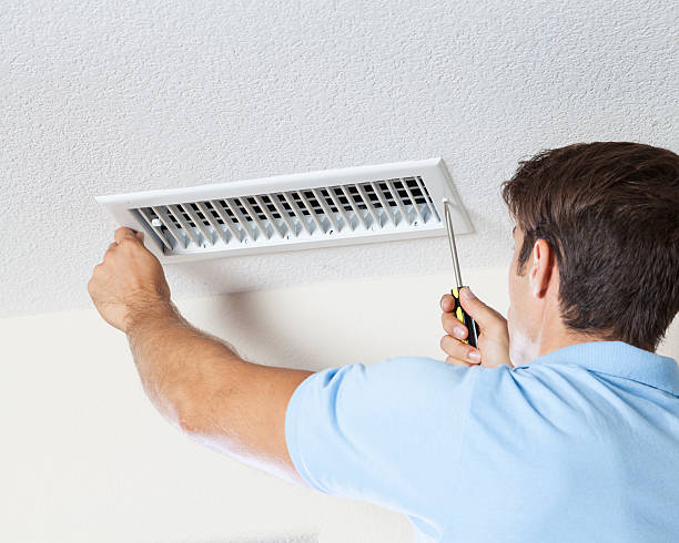 Best Emergency Mold Remediation  in Bethlehem, WV