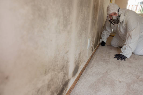 Best Mold Remediation for Healthcare Facilities  in Bethlehem, WV