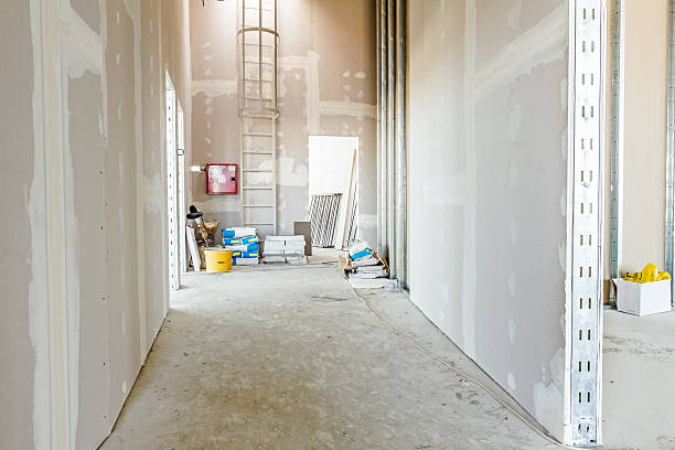 Best Dehumidification Services  in Bethlehem, WV
